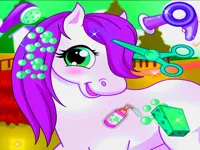 Horse Pet Salon image