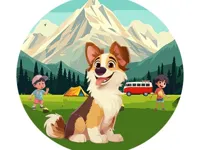 Dog Hide N Seek image